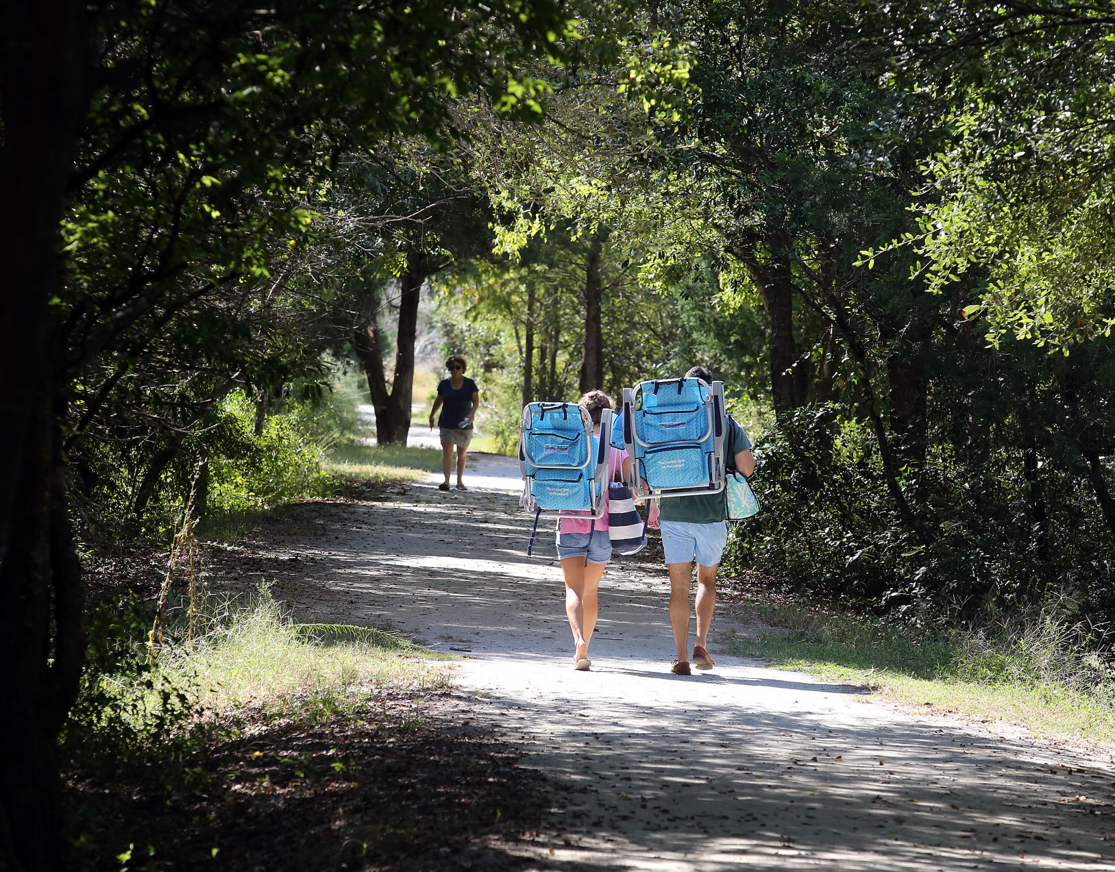 Sullivan's Island Maritime Forest (copy)